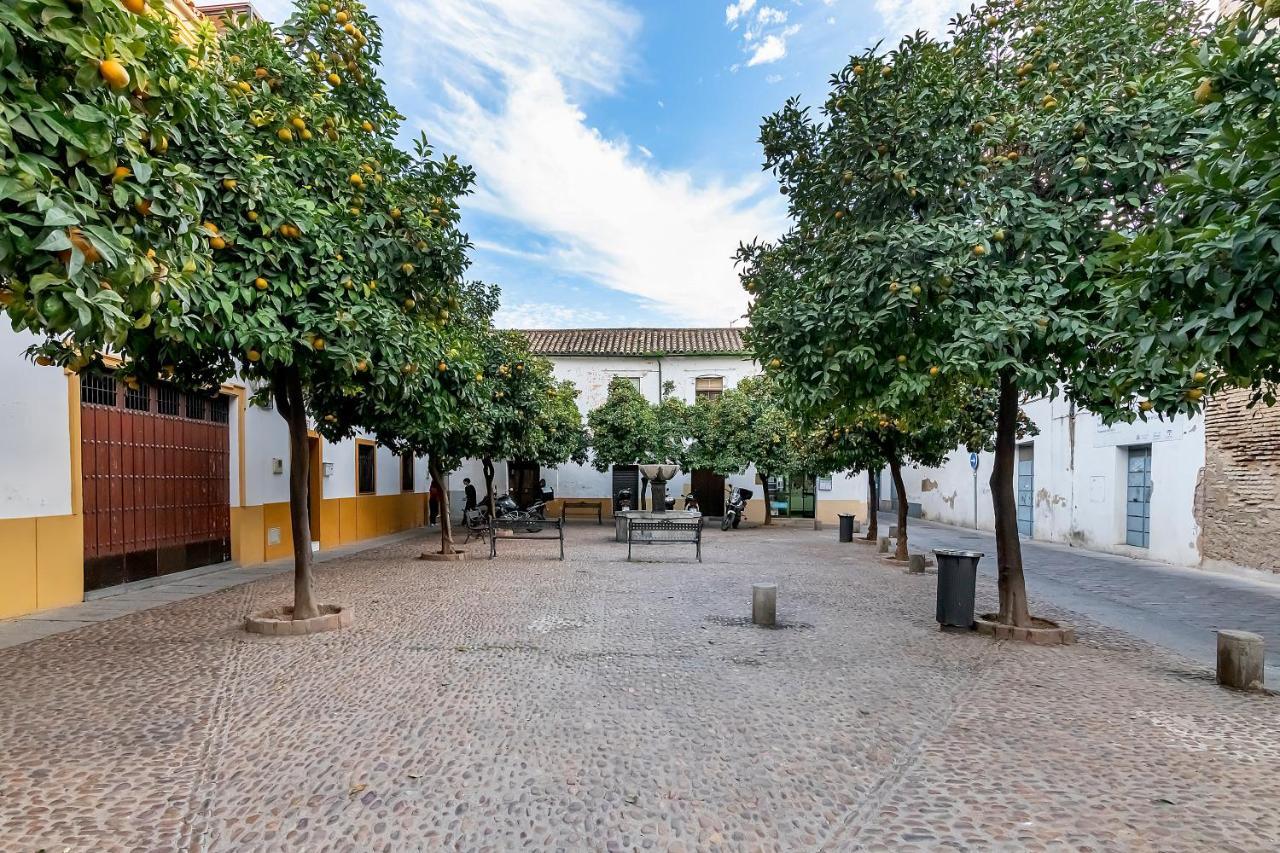 Bhost - Regina IV Apartman Córdoba Kültér fotó